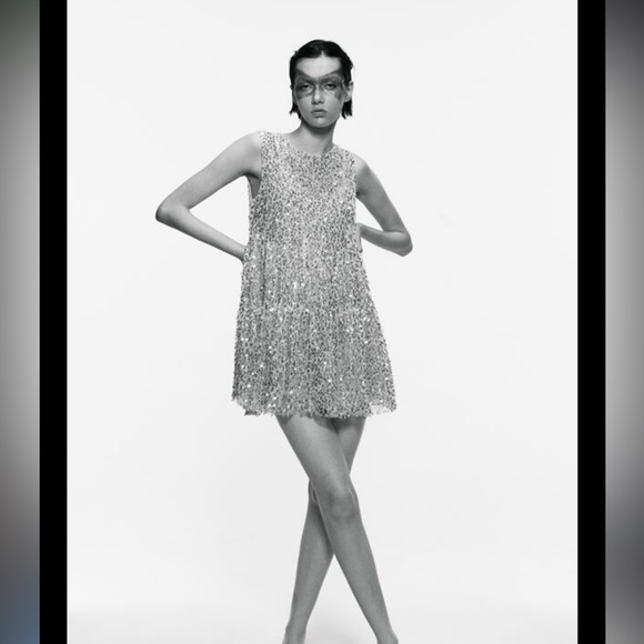 ZARA LIMITED EDITION RUFFLED SEQUIN DRESS IRIDESCENT NUDE - Picture 1 of 3